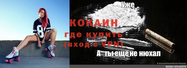 прущие крисы Богданович
