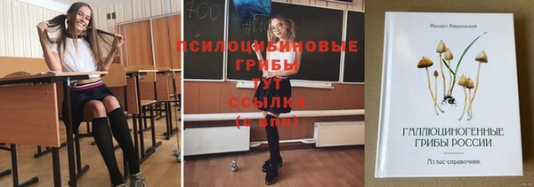 mdpv Верхнеуральск