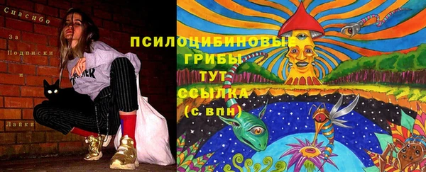 тгк Богородск