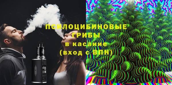 прущие крисы Богданович