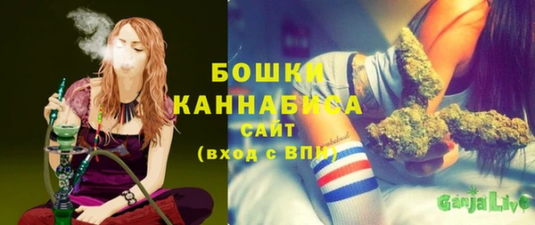 прущие крисы Верея
