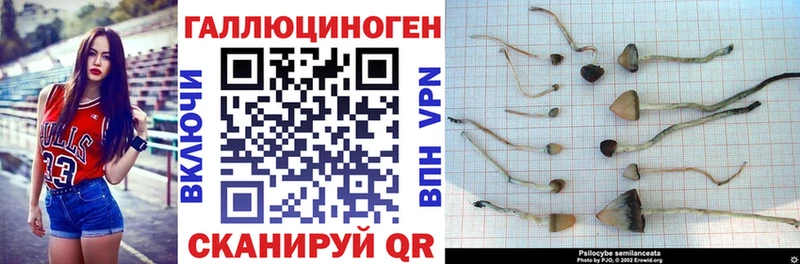 Псилоцибиновые грибы Magic Shrooms Весьегонск